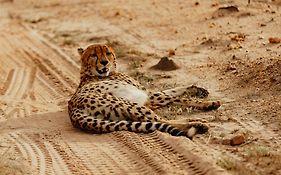 Radisson Safari Hotel Hoedspruit